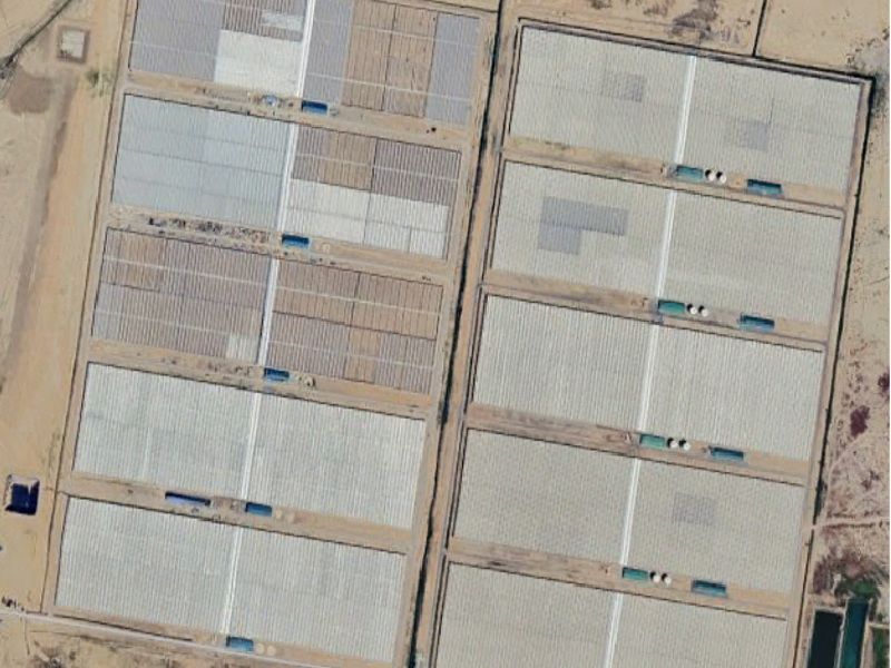100 Hectares – Greenhouse Heating System – Turkmenistan