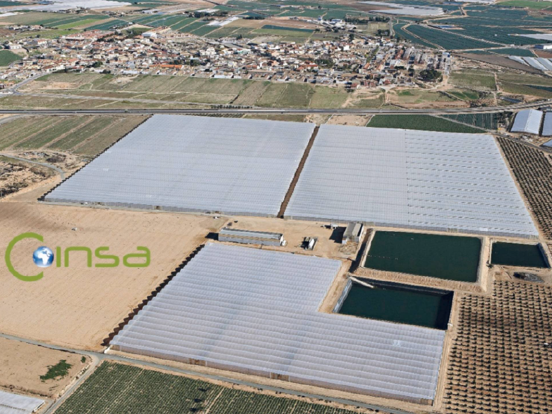Coinsa – Greenhouse Climate Systems