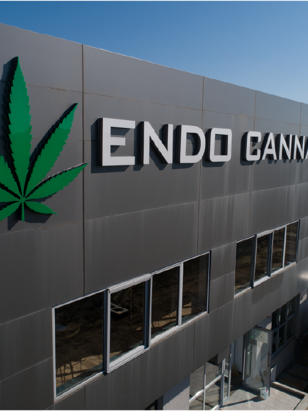 Indoor Cannabis Cultivation – Macedonia