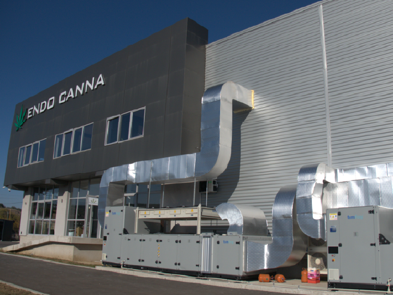 Indoor Cannabis Cultivation – Macedonia