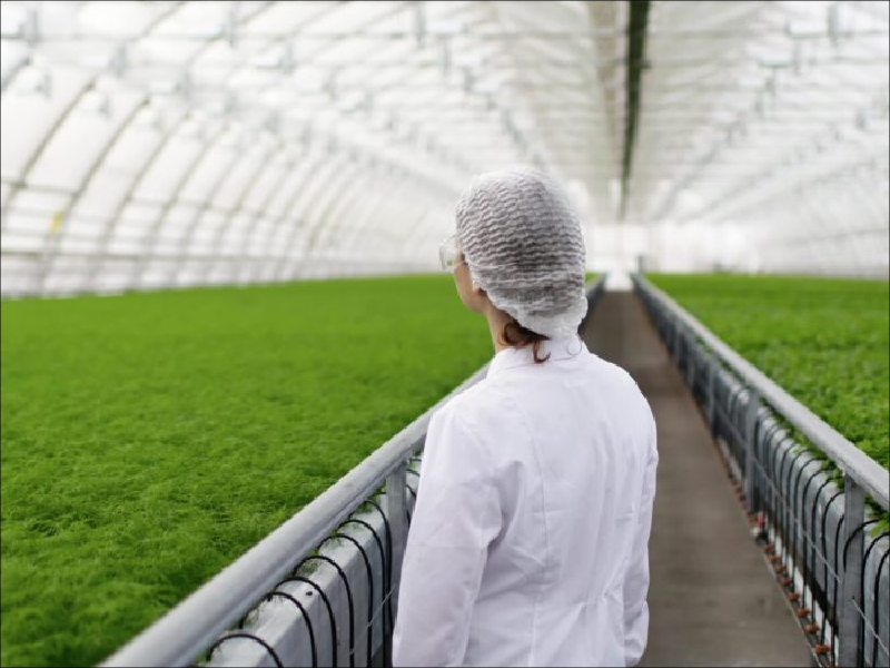 Greenhouse Production Tools & Management Systems