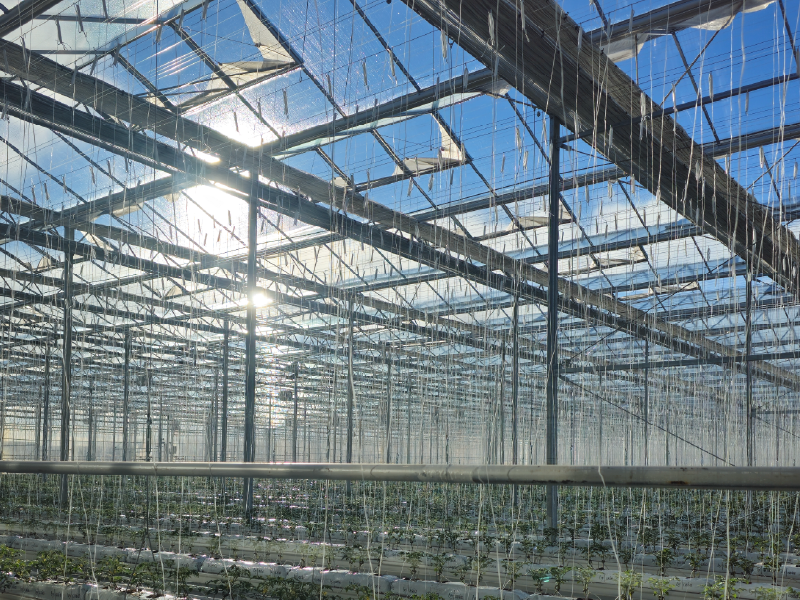 M.Cohen Metal Ltd. – Greenhouse Climate Systems