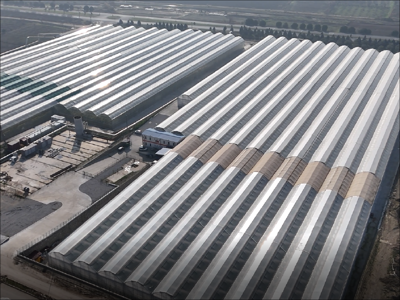 Turnkey Gothic Modern Greenhouse – Denizli/Türkiye