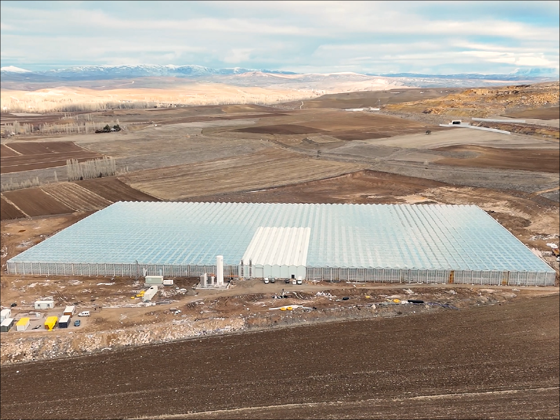 Turnkey Venlo Greenhouse Project – Sivas / Turkey