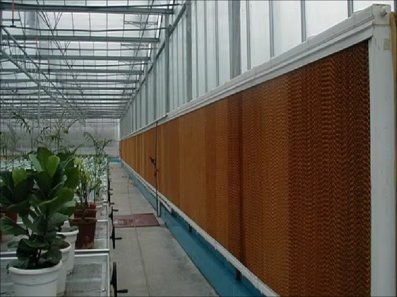Greenhouse Cooling Systems