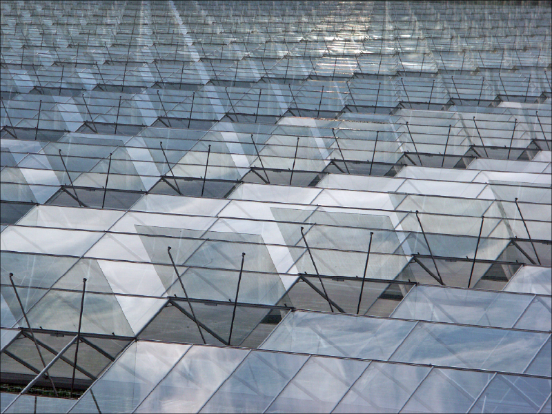 Greenhouse Ventilation Systems
