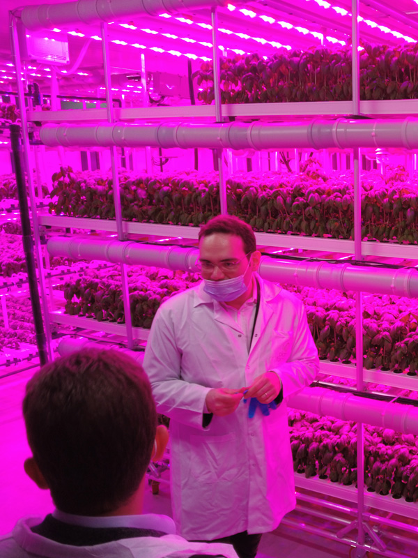 Vertical Farming at İstinye Park – İstanbul / Türkiye