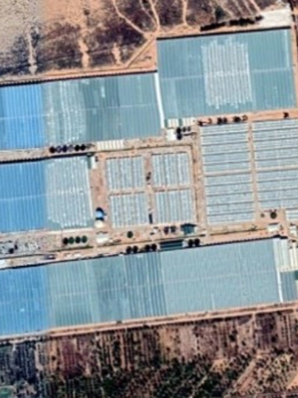 LCS - LCS Project