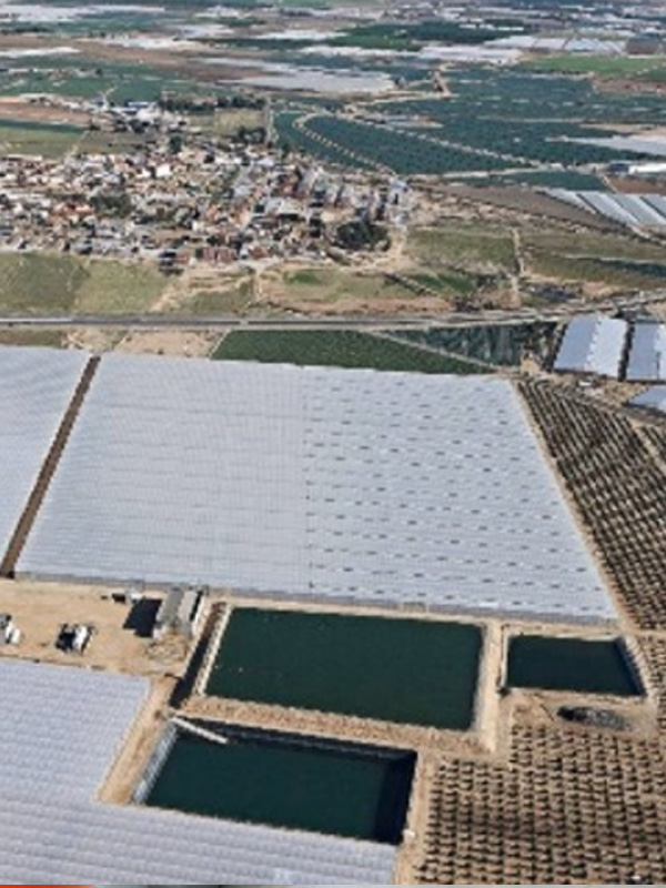 Coinsa – Greenhouse Climate Systems